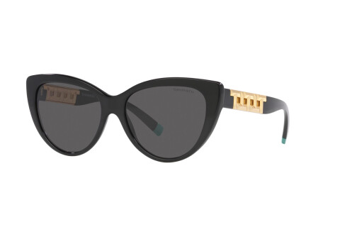 Sunglasses Tiffany TF 4196 (8001S4)