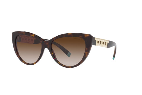 Sunglasses Tiffany TF 4196 (80153B)
