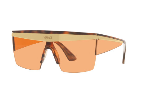 Sunglasses Versace VE 2254 (100274)