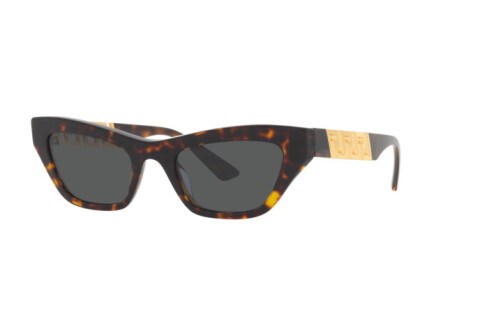 Sunglasses Versace VE 4419 (108/87)