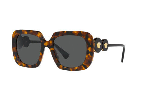 Sunglasses Versace VE 4434 (511987)