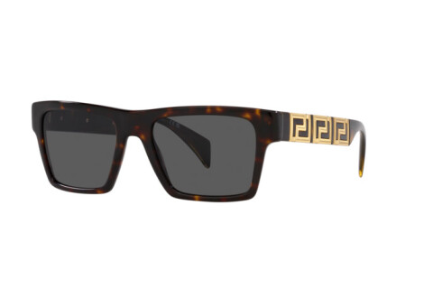 Sunglasses Versace VE 4445 (108/87)