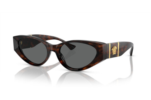 Sunglasses Versace VE 4454 (542987)