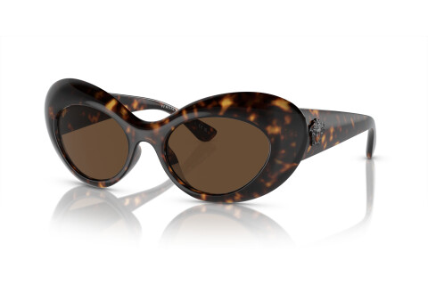 Sunglasses Versace VE 4456U (108/73)