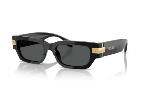 Sonnenbrille Versace VE 4465 (GB1/87)