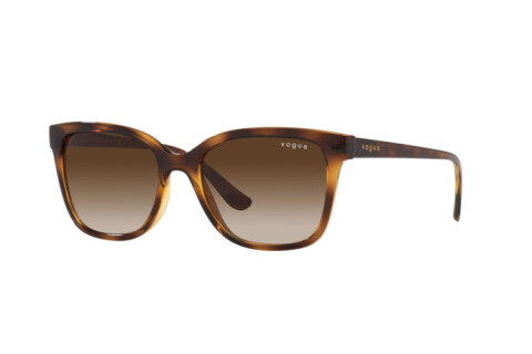 Sunglasses Vogue VO 5426S (W65613)