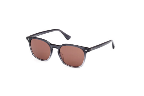 Lunettes de soleil Web WE0364 (20S)