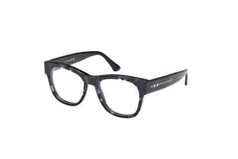 Lunettes de vue Web WE5423 (056)