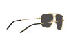 Sonnenbrille Dolce & Gabbana DG 2264 (02/87)