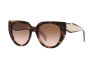 Sunglasses Prada PR 14WS (01R0A6)