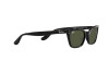 Солнцезащитные очки Ray-Ban Lady Burbank RB 2299 (901/31)