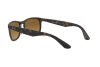 Sunglasses Ray-Ban Chromance RB 4263 (894/A3)