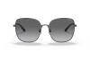 Sunglasses Vogue VO 4237SD (352/11)