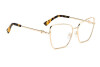 Brille Dsquared D2 0039 105954 (HM2)