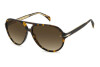 Sonnenbrille David Beckham DB 1091/S 205161 (086 HA)