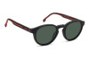 Eyeglasses Carrera Ca 8066/CS 206298 (OIT UC)