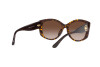 Sunglasses Michael Kors Charleston MK 2175U (300613)