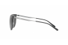 Sunglasses Arnette Hundo-p1 AN 3073 (502/87)