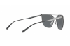 Sunglasses Arnette Hundo-p1 AN 3073 (502/87)