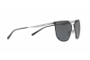 Sunglasses Arnette Hundo-p1 AN 3073 (502/87)