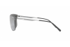 Солнцезащитные очки Arnette Hundo-p2 AN 3074 (502/6G)