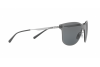 Sunglasses Arnette Hundo-p2 AN 3074 (502/87)