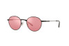 Lunettes de soleil Arnette The Professional AN 3084 (737/77)