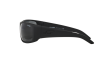 Sunglasses Arnette La pistola AN 4179 (447/87)