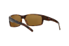 Солнцезащитные очки Arnette Fastball AN 4202 (208783)