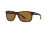 Lunettes de soleil Arnette Fire drill lite AN 4206 (215283)