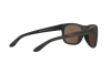 Sunglasses Arnette Fire drill lite AN 4206 (23497D)