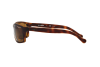Солнцезащитные очки Arnette Boiler AN 4207 (215283)