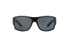 Солнцезащитные очки Arnette Heist 2.0 AN 4215 (41/81)