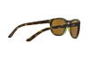 Occhiali da Sole Arnette Pleasantville AN 4219 (232473)