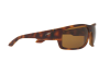 Солнцезащитные очки Arnette Grifter AN 4221 (232183)