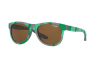 Sunglasses Arnette Class act AN 4222 (235187)