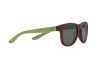 Sunglasses Arnette Class act AN 4222 (241871)