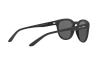 Солнцезащитные очки Arnette Cut back AN 4230 (01/87)