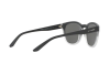 Солнцезащитные очки Arnette Cut back AN 4230 (24206G)