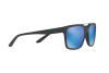 Sunglasses Arnette Petrolhead AN 4231 (01/25)