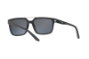 Солнцезащитные очки Arnette Petrolhead AN 4231 (01/81)