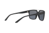 Солнцезащитные очки Arnette Petrolhead AN 4231 (01/81)
