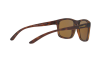 Occhiali da Sole Arnette Complementary AN 4233 (237583)