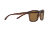Sunglasses Arnette Complementary AN 4233 (237583)