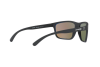 Sunglasses Arnette Booger AN 4234 (01/25)