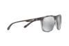 Lunettes de soleil Arnette Crooked grind AN 4235 (2462Z3)