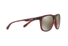 Lunettes de soleil Arnette Crooked grind AN 4235 (24635A)