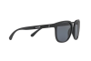 Солнцезащитные очки Arnette Tigard AN 4238 (01/81)
