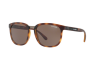 Occhiali da Sole Arnette Tigard AN 4238 (237573)