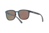 Sunglasses Arnette Tigard AN 4238 (249025)